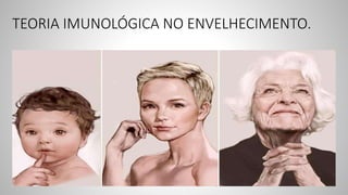 TEORIA IMUNOLÓGICA NO ENVELHECIMENTO.
 