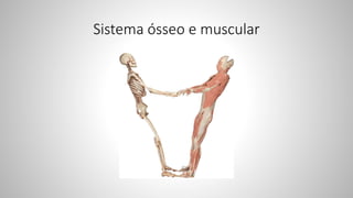 Sistema ósseo e muscular
 