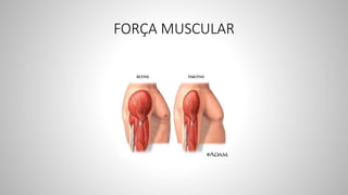 FORÇA MUSCULAR
 