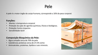Pele
A pele é o maior órgão do corpo humano, corresponde a 16% do peso corporal.
Funções:
• Manter a temperatura corporal
• Proteção da ação de agentes químicos, físicos e biológicos.
• Proteção Contra impactos
• Sensibilidade táctil
Composição Bioquímica da Pele:
• Água compõe cerca de 70% da pele
• Substâncias proteicas cerca de 27,5% como:
• Aminoácidos, proteínas, lipídios e sais minerais.
 