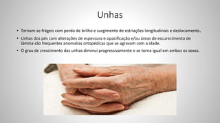 Unhas
• Tornam-se frágeis com perda de brilho e surgimento de estriações longitudinais e deslocamento.
• Unhas dos pés com alterações de espessura e opacificação e/ou áreas de escurecimento de
lâmina são frequentes anomalias ortopédicas que se agravam com a idade.
• O grau de crescimento das unhas diminui progressivamente e se torna igual em ambos os sexos.
 