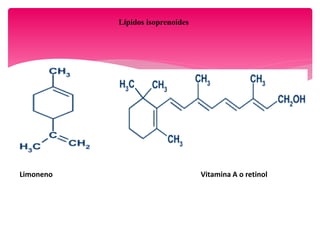 Lípidos isoprenoides
Limoneno Vitamina A o retinol
 