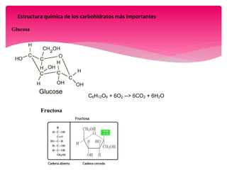Estructura química de los carbohidratos más importantes
Glucosa
C6H12O6 + 6O2 --> 6CO2 + 6H2O
Fructosa
 
