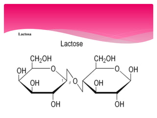 Lactosa
 