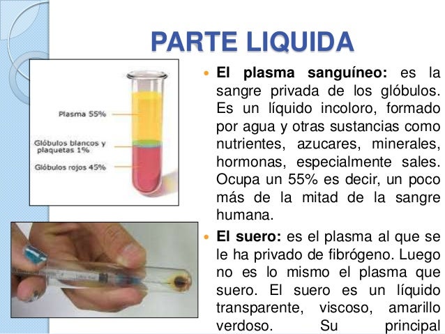 Bioquimica en la sangre