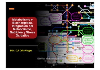 Metabolismo y
Bioenergética,
Integración del
Metabolismo,
Nutrición y Stress
Oxidativo
MSc. Q.F Celia Vargas
2021
Escriba el texto aquí
 
