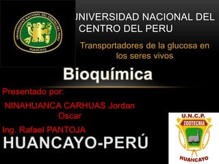 UNIVERSIDAD NACIONAL DEL 
CENTRO DEL PERU 
Transportadores de la glucosa en 
los seres vivos 
Presentado por: 
NINAHUANCA CARHUAS Jordan 
Oscar 
Ing. Rafael PANTOJA 
 
