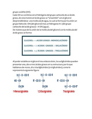 grupo oxidrilo (OH).
Cada OH se combinaconelhidrógeno delgrupo carboxilo de unácido
graso, de estamanerael ácido graso se "ensambla" conel glicerol
desprendiéndose una moléculade agua, la cual se formapor la unión un
grupo hidroxilo -OH(del glicerol) mas un hidrogeno H+ (del grupo
carboxilo delacido graso)= H-OH(agua) .
De maneraque de la unión de la moléculadel glicerolconla moléculadel
ácido graso se forma:
GLICEROL + 1 ACIDO GRASO : MONOGLICÉRIDO
GLICEROL + 2 ACIDOS GRASOS : DIGLICÉRIDO
GLICEROL + 3 ÁCIDOS GRASOS : TRIGLICÉRIDO
Al poder establecerelgliceroltres enlaces éster, los acilglicéridos pueden
presentar uno, dos o tres ácidos grasos en su estructura, por lo que
hablamos de mono, dio triacilglicéridos (o triglicéridos), como lo
representalasiguiente figura:
 