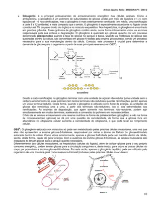 Arlindo Ugulino Netto – MEDICINA P1 – 2007.2


   •   Glicogênio: é o principal polissacarídeo de armazenamento energético das células animais. Como a
       amilopectina, o glicogênio é um polímero de subunidades de glicose unidas por meio de ligações α1→4, com
       ligações α1→6 nas ramificações, mas o glicogênio é mais extensamente ramificado (em média, uma ramificação
       a cada 8 a 12 unidades) e mais compacto que o amido. O glicogênio é especialmente abundante no fígado (onde
       constitui até 7% do peso úmido do órgão) e no músculo esquelético. Nos hepatócitos, o glicogênio é encontrado
       em grandes grânulos. Esses grânulos de glicogênio contêm ainda, numa forma intimamente unida, as enzimas
       responsáveis pela sua síntese e degradação. O glicogênio é quebrado em glicose quando por um processo
       denominado glicogenólise quando a taxa de glicose no sangue é baixa. Quando as moléculas de glicose são
       quebradas dentro da célula, são convertidas em glicose-6-fosfato pela enzima glicoquinase, sendo um processo
       necessário para a sua manutenção dentro da célula. Contudo, este processo é crucial para determinar a
       demanda de glicose para o organismo a partir de suas principais reservas (ver OBS6).




       Devido a cada ramificação no glicogênio terminar com uma unidade de açúcar não-redutor (uma unidade sem o
       carbono anomérico livre), esse polímero tem tantos terminais não-redutores quantas ramificações, porém apenas
       um único terminal redutor. Desta forma, quando o glicogênio é utilizado como fonte de energia, as unidades de
       glicose são removidas uma a uma, a partir dos terminais não-redutores, isto é, das extremidades das
       ramificações. As enzimas de degradação, que agem somente nos terminais não-redutores, podem agir
       simultaneamente em muitos terminais, acelerando a conversão do polímero em monossacarídeo.
       O fato de as células armazenarem uma reserva nutritiva na forma de polissacarídeo (glicogênio) e não na forma
       de monossacarídeo (glicose) se dá por uma questão de osmolaridade, de forma que a glicose livre em
       abundância no citoplasma celular aumenta a osmolaridade do citoplasma, o que pode levar ao rompimento
       celular.

OBS6: O glicogênio estocado nos músculos só pode ser metabolizado pelas próprias células musculares, uma vez que
elas não apresentam a enzima glicose-6-fosfatase, responsável por retirar o átomo de fósforo da glicose-6-fosfato
estocada dentro da célula. Como vimos anteriormente, apenas a glicose fosforilada pode ser mantida dentro da célula,
sendo, desta forma, capaz de gerar energia. Com a ausência da enzima glicose-6-fosfatase, as células musculares são
incapazes de lançar glicose para o sangue quando necessário.
Diferentemente das células musculares, os hepatócitos (células do fígado), além de utilizar glicose para o seu próprio
consumo energético, podem enviar glicose para a circulação sanguínea e, deste modo, para todas as outras células do
corpo por possuírem a enzima glicose-6-fosfatase. Por esta razão, apenas o glicogênio hepático pode ser utilizado pelo
organismo de uma maneira geral como reserva nutricional (inclusive pelas próprias células musculares).




                                                                                                                       10
 