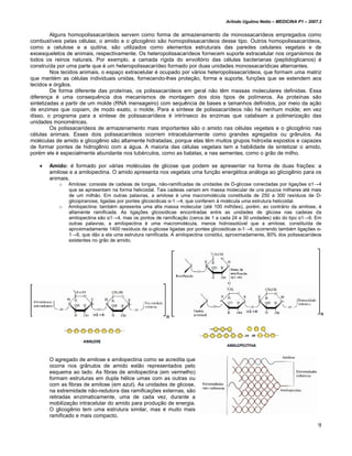 Arlindo Ugulino Netto – MEDICINA P1 – 2007.2


         Alguns homopolissacarídeos servem como forma de armazenamento de monossacarídeos empregados como
combustíveis pelas células; o amido e o glicogênio são homopolissacarídeos desse tipo. Outros homopolissacarídeos,
como a celulose e a quitina, são utilizados como elementos estruturais das paredes celulares vegetais e de
exoesqueletos de animais, respectivamente. Os heteropolissacarídeos fornecem suporte extracelular nos organismos de
todos os reinos naturais. Por exemplo, a camada rígida do envoltório das células bacterianas (peptidoglicanos) é
construída por uma parte que é um heteropolissacarídeo formado por duas unidades monossacarídicas alternantes.
         Nos tecidos animais, o espaço extracelular é ocupado por vários heteropolissacarídeos, que formam uma matriz
que mantém as células individuais unidas, fornecendo-lhes proteção, forma e suporte, funções que se estendem aos
tecidos e órgãos.
         De forma diferente das proteínas, os polissacarídeos em geral não têm massas moleculares definidas. Essa
diferença é uma consequência dos mecanismos de montagem dos dois tipos de polímeros. As proteínas são
sintetizadas a partir de um molde (RNA mensageiro) com sequência de bases e tamanhos definidos, por meio da ação
de enzimas que copiam, de modo exato, o molde. Para a síntese de polissacarídeos não há nenhum molde; em vez
disso, o programa para a síntese de polissacarídeos é intrínseco às enzimas que catalisam a polimerização das
unidades monoméricas.
         Os polissacarídeos de armazenamento mais importantes são o amido nas células vegetais e o glicogênio nas
células animais. Esses dois polissacarídeos ocorrem intracelularmente como grandes agregados ou grânulos. As
moléculas de amido e glicogênio são altamente hidratadas, porque elas têm muitos grupos hidroxila expostos e capazes
de formar pontes de hidrogênio com a água. A maioria das células vegetais tem a habilidade de sintetizar o amido,
porém ele é especialmente abundante nos tubérculos, como as batatas, e nas sementes, como o grão de milho.

   •   Amido: é formado por várias moléculas de glicose que podem se apresentar na forma de duas frações: a
       amilose e a amilopectina. O amido apresenta nos vegetais uma função energética análoga ao glicogênio para os
       animais.
           o   Amilose: consiste de cadeias de longas, não-ramificadas de unidades de D-glicose conectadas por ligações α1→4
               que se apresentam na forma helicoidal. Tais cadeias variam em massa molecular de uns poucos milhares até mais
               de um milhão. Em outras palavras, a amilose é uma macromolécula constituida de 250 a 300 resíduos de D-
               glicopiranose, ligadas por pontes glicosídicas α-1→4, que conferem à molécula uma estrutura helicoidal.
           o   Amilopectina: também apresenta uma alta massa molecular (até 100 milhões), porém, ao contrário da amilose, é
               altamente ramificada. As ligações glicosídicas encontradas entre as unidades de glicose nas cadeias da
               amilopectina são α1→4, mas os pontos de ramificação (cerca de 1 a cada 24 a 30 unidades) são do tipo α1→6. Em
               outras palavras, a amilopectina é uma macromolécula, menos hidrossolúvel que a amilose, constituída de
               aproximadamente 1400 resíduos de α-glicose ligadas por pontes glicosidicas α-1→4, ocorrendo também ligações α-
               1→6, que dão a ela uma estrutura ramificada. A amilopectina constitui, aproximadamente, 80% dos polissacarídeos
               existentes no grão de amido.




       O agregado de amilose e amilopectina como se acredita que
       ocorra nos grânulos de amido estão representados pelo
       esquema ao lado. As fibras de amilopectina (em vermelho)
       formam estruturas em dupla hélice umas com as outras ou
       com as fibras de amilose (em azul). As unidades de glicose,
       na extremidade não-redutora das ramificações externas, são
       retiradas enzimaticamente, uma de cada vez, durante a
       mobilização intracelular do amido para produção de energia.
       O glicogênio tem uma estrutura similar, mas é muito mais
       ramificado e mais compacto.
                                                                                                                              9
 