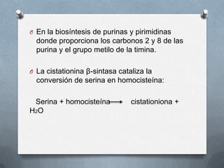 O En la biosíntesis de purinas y pirimidinas
donde proporciona los carbonos 2 y 8 de las
purina y el grupo metilo de la timina.
O La cistationina β-sintasa cataliza la
conversión de serina en homocisteína:
Serina + homocisteína cistationiona +
H2O
 