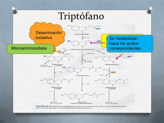 Triptófano
Desaminación
oxidativa
Monoaminooxidasa
Carcinoide
(argentafinoma)
Se metabolizan
hacia los acidos
correspondientes
 