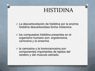 HISTIDINA
O La descarboxilación de histidina por la enzima
histidina descarboxilasa forma histamina.
O los compuestos histidina presentes en el
organismo humano son: ergotioneina,
carnosina y la anserina.
O la carnosina y la homocarnosina son
componentes importantes de tejidos del
cerebro y del músculo estriado.
 