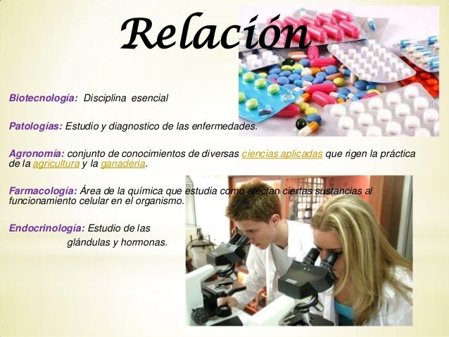 Bioquimica Importancia y Relacion