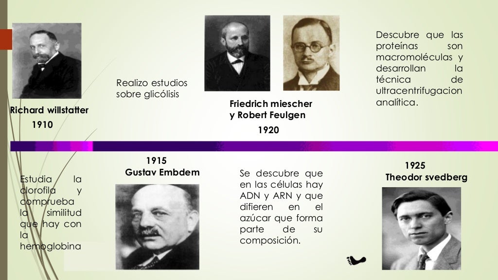 Linea De Tiempo Historia De La