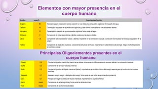 Elementos con mayor presencia en el
cuerpo humano
Nombre

masa %

Importancia o función

Oxígeno

65

Necesario para la respiración celular; presente en casi todos los compuestos orgánicos; forma parte del agua

Carbono

18

Constituye el esqueleto de las moléculas orgánicas; puede formar cuatro enlaces con otros tantos átomos

Hidrógeno

10

Presente en la mayoría de los compuestos orgánicos; forma parte del agua

Nitrógeno

3

Componente de todas las proteínas y ácidos nucleicos y de algunos lípidos

Calcio

1,5

Fósforo

1

Componente estructural de los huesos y dientes; importante en la contracción muscular, conducción de impulsos nerviosos y coagulación de la
sangre
Componente de los ácidos nucleicos; componente estructural del hueso; importante en la transferencia de energía. Integra los fosfolípidos de
la membrana celular.

Principales Oligoelementos presentes en el
cuerpo humano
Potasio

0.4

Principal ion positivo (catión) del interior de las células; importante en el funcionamiento nervioso; afecta a la contracción muscular

Azufre

0,3

Componente de la mayoría de las proteínas

Sodio

0,2

Principal ion positivo del líquido intersticial (tisular); importante en el equilibrio hídrico del cuerpo; esencial para la conducción de impulsos
nerviosos

Magnesio

0,1

Necesario para la sangre y los tejidos del cuerpo; forma parte de casi todas las enzimas de importancia

Cloro

0,1

Principal ion negativo (anión) del líquido intersticial; importante en el equilibrio hídrico

Hierro

trazas

Componente de la hemoglobina y forma parte de ciertas enzimas

Yodo

trazas

Componente de las hormonas tiroideas

 