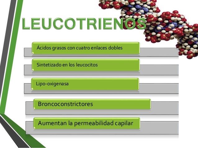 ciclooxigenasa y lipooxigenasa