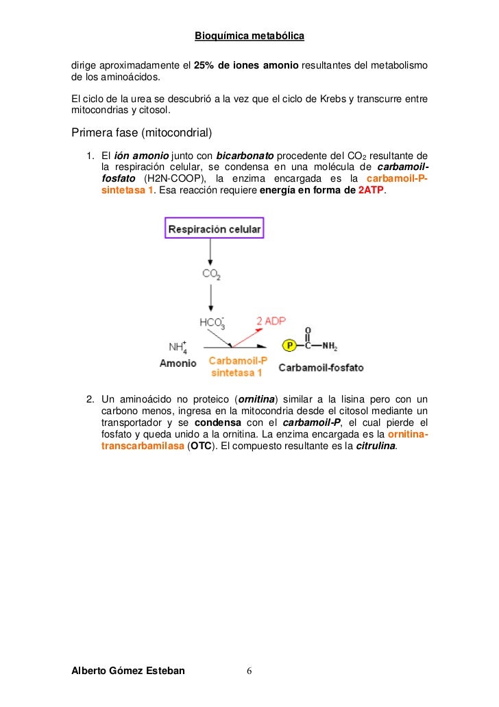 Metabolismo son un problema serius?
