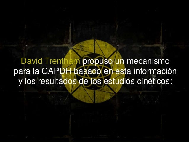 metabolismo hidrocarbonado bajo opciones