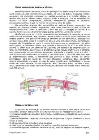 Como percebemos aromas e cheiros

       Olfato e paladar caminham juntos na percepção do sabor porque os sensores do
nariz e da boca estão intimamente associados. Ao comer ou beber, moléculas voláteis
presentes nos alimentos estimulam as papilas gustativas e o epitélio olfativo. A
reunião dos gostos básicos (doce, salgado, ácido e amargo) com as sensações na
mucosa da boca (temperatura, picância, refrescância), somada as inúmeras
percepções do olfato, é que vai formar no cérebro a idéia de sabor.
       Os estímulos nervosos são transmitidos ao sistema límbico, responsável no
cérebro por diversas funções vegetativas, pela nossa memória e pelo controle de
neurotransmissores (como a serotonina), que nos dão a sensação de prazer. É o
sistema límbico que nos traz lembranças quando sentimos um cheiro familiar.
       O olfato depende de receptores sensoriais que respondem à presença de certas
moléculas na atmosfera. Nos humanos, estes quimioreceptores estão localizados no
epitélio olfativo - um pedaço de tecido do tamanho de um selo postal, localizado na
cavidade nasal. Este tecido é recoberto de cílios e uma camada de muco. As moléculas
gasosas são dissolvidas no muco e, então, interagem com os receptores. Isto ativa
uma enzima, a adenilato ciclase, que catalisa a conversão de ATP ao AMP cíclico
(cAMP). O cAMP ativa um canal de Na+, gerando um potencial de despolarização ao
longo da membrana. Este impulso é transmitido pelos nervos olfativos até o cérebro,
que, computando outros estímulos sensoriais, interpreta o impulso como um odor -
muitas vezes acionando áreas da memória que relacionam o particular odor com algo
já experimentado antes. A substância que provoca o odor precisa ter certas
propriedades para ser capaz de provocar alterações sensoriais: deve apresentar
alguma solubilidade em água, pressão de vapor considerável, lipofilicidade, e massa
molar não muito elevada (em um artigo de 1967, Demole e Wuest, na Helv. Chem.
Acta., garantem não existir nenhuma molécula odorante com massa molar maior do
que 294 g/mol).




       Receptores Sensoriais

       A entrada de informação no sistema nervoso central é dada pelos receptores
sensoriais. Existem basicamente cinco tipos diferentes de receptores sensitivos:
1) mecanorreceptores: detectam deformações mecânicas dos receptores ou de células
adjacentes;
2) termorreceptores: detectam alterações da temperatura - alguns detectam o frio e
outros o calor;
3) eletromagnéticos: detectam a luz na retina
4) nociceptores: detectam lesões nos tecidos tanto físicas quanto químicas
5) quimiorreceptores: detectam paladar e olfato, nível de oxigênio no sangue arterial,

Bioquímica na Cozinha                                                             130
 