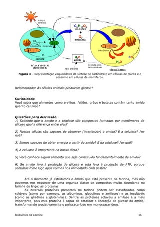 Figura 3 – Representação esquemática da síntese de carboidrato em células de planta e o
                            consumo em células de mamíferos.



Relembrando: As células animais produzem glicose?


Curiosidade
Você sabia que alimentos como ervilhas, feijões, grãos e batatas contêm tanto amido
quanto celulose?


Questões para discussão:
1) Sabendo que o amido e a celulose são compostos formados por monômeros de
glicose qual a diferença entre eles?

2) Nossas células são capazes de absorver (interiorizar) o amido? E a celulose? Por
quê?

3) Somos capazes de obter energia a partir do amido? E da celulose? Por quê?

4) A celulose é importante na nossa dieta?

5) Você conhece algum alimento que seja constituído fundamentalmente de amido?

6) Se amido leva à produção de glicose e esta leva à produção de ATP, porque
sentimos fome logo após termos nos alimentado com pastel?


       Até o momento já estudamos o amido que está presente na farinha, mas não
podemos nos esquecer de uma segunda classe de compostos muito abundante na
farinha de trigo: as proteínas.
       As diversas proteínas presentes na farinha podem ser classificadas como
solúveis (como por exemplo, as albuminas, globulinas e amilases) e as insolúveis
(como as gliadinas e gluteninas). Dentre as proteínas solúveis a amilase é a mais
importante, pois esta proteína é capaz de catalisar a liberação de glicose do amido,
transformando gradativamente o polissacarídeo em monossacarídeos.


Bioquímica na Cozinha                                                                  16
 