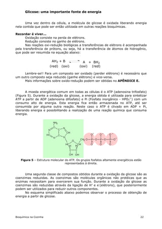 Glicose: uma importante fonte de energia


      Uma vez dentro da célula, a molécula de glicose é oxidada liberando energia
nela contida que pode ser então utilizada em outras reações bioquímicas.

Recordar é viver...
       Oxidação consiste na perda de elétrons.
       Redução consiste no ganho de elétrons.
       Nas reações oxi-redução biológicas a transferências de elétrons é acompanhada
pela transferência de prótons, ou seja, há a transferência de átomos de hidrogênio,
que pode ser resumida na equação abaixo:

                         AH2 + B               A + BH2
                        (red)   (oxi)        (oxi) (red)

     Lembre-se!! Para um composto ser oxidado (perder elétrons) é necessário que
um outro composto seja reduzido (ganhe elétrons) e vice-versa.
     Mais informações sobre oxido-redução podem ser obtidas no APÊNDICE E.


       A moeda energética comum em todas as células é o ATP (adenosina trifosfato)
(Figura 5). Durante a oxidação da glicose, a energia obtida é utilizada para sintetizar
ATP a partir de ADP (adenosina difosfato) e Pi (Fosfato inorgânico - HPO42-) com um
consumo alto de energia. Esta energia fica então armazenada no ATP, até ser
consumida por alguma outra reação. Neste caso o ATP é clivado em ADP + Pi,
liberando energia e possibilitando a realização de uma reação química que consuma
energia.




    Figura 5 – Estrutura molecular do ATP. Os grupos fosfatos altamente energéticos estão
                                   representados à direita.



      Uma segunda classe de compostos obtidos durante a oxidação da glicose são as
coenzimas reduzidas. As coenzimas são moléculas orgânicas não protéicas que as
enzimas necessitam para exercerem sua função. Durante a oxidação da glicose as
coenzimas são reduzidas através da ligação de H+ e e-(elétrons), que posteriormente
podem ser utilizados para reduzir outros componentes.
      No esquema simplificado abaixo podemos observar o processo de obtenção de
energia a partir de glicose.




Bioquímica na Cozinha                                                                   22
 
