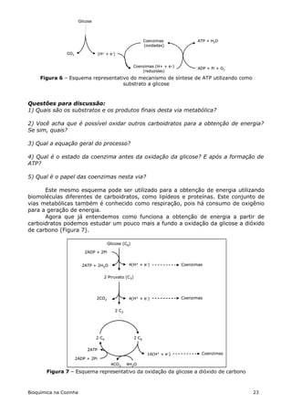 Glicose




                                                               Coenzimas              ATP + H2O
                                                               (oxidadas)

                CO2                (H+ + e-)


                                                        Coenzimas (H+ + e-)
                                                                                      ADP + Pi + O2
                                                            (reduzidas)
     Figura 6 – Esquema representativo do mecanismo de síntese de ATP utilizando como
                                    substrato a glicose



Questões para discussão:
1) Quais são os substratos e os produtos finais desta via metabólica?

2) Você acha que é possível oxidar outros carboidratos para a obtenção de energia?
Se sim, quais?

3) Qual a equação geral do processo?

4) Qual é o estado da coenzima antes da oxidação da glicose? E após a formação de
ATP?

5) Qual é o papel das coenzimas nesta via?

      Este mesmo esquema pode ser utilizado para a obtenção de energia utilizando
biomoléculas diferentes de carboidratos, como lipídeos e proteínas. Este conjunto de
vias metabólicas também é conhecido como respiração, pois há consumo de oxigênio
para a geração de energia.
      Agora que já entendemos como funciona a obtenção de energia a partir de
carboidratos podemos estudar um pouco mais a fundo a oxidação da glicose a dióxido
de carbono (Figura 7).

                                         Glicose (C6)

                           2ADP + 2Pi
                                                    4(H+ + e-)

                         2ATP + 2H2O                4(H+ + e-)                 Coenzimas


                                      2 Piruvato (C3)


                                                    4(H+ + e-)

                                  2CO2              4(H+ + e-)                 Coenzimas


                                             2 C2




                                  2 C4                  2 C6


                            2ATP
                                                                 16(H+ + e-)           Coenzimas
                      2ADP + 2Pi
                                          4CO2      4H2O
       Figura 7 – Esquema representativo da oxidação da glicose a dióxido de carbono



Bioquímica na Cozinha                                                                                 23
 