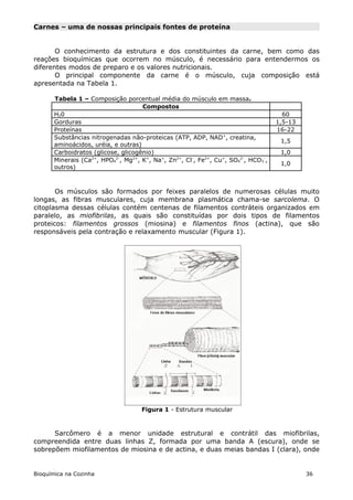 Carnes – uma de nossas principais fontes de proteína


       O conhecimento da estrutura e dos constituintes da carne, bem como das
reações bioquímicas que ocorrem no músculo, é necessário para entendermos os
diferentes modos de preparo e os valores nutricionais.
       O principal componente da carne é o músculo, cuja composição está
apresentada na Tabela 1.

       Tabela 1 – Composição porcentual média do músculo em massa.
                                     Compostos
       H20                                                                            60
       Gorduras                                                                     1,5-13
       Proteínas                                                                    16-22
       Substâncias nitrogenadas não-proteicas (ATP, ADP, NAD+, creatina,
                                                                                     1,5
       aminoácidos, uréia, e outras)
       Carboidratos (glicose, glicogênio)                                            1,0
       Minerais (Ca2+, HPO42-, Mg2+, K+, Na+, Zn2+, Cl-, Fe2+, Cu+, SO42-, HCO3-,
                                                                                     1,0
       outros)



       Os músculos são formados por feixes paralelos de numerosas células muito
longas, as fibras musculares, cuja membrana plasmática chama-se sarcolema. O
citoplasma dessas células contém centenas de filamentos contráteis organizados em
paralelo, as miofibrilas, as quais são constituídas por dois tipos de filamentos
proteicos: filamentos grossos (miosina) e filamentos finos (actina), que são
responsáveis pela contração e relaxamento muscular (Figura 1).




                                     Figura 1 - Estrutura muscular



      Sarcômero é a menor unidade estrutural e contrátil das miofibrilas,
compreendida entre duas linhas Z, formada por uma banda A (escura), onde se
sobrepõem miofilamentos de miosina e de actina, e duas meias bandas I (clara), onde


Bioquímica na Cozinha                                                                        36
 