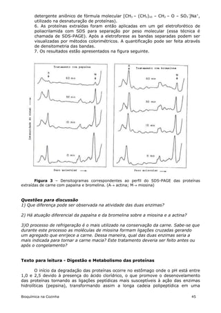 detergente aniônico de fórmula molecular [CH3 – (CH2)10 – CH2 – O – SO3-]Na+,
       utilizado na desnaturação de proteínas).
       6. As proteínas extraídas foram então aplicadas em um gel eletroforético de
       poliacrilamida com SDS para separação por peso molecular (essa técnica é
       chamada de SDS-PAGE). Após a eletroforese as bandas separadas podem ser
       visualizadas por métodos colorimétricos. A quantificação pode ser feita através
       de densitometria das bandas.
       7. Os resultados estão apresentados na figura seguinte.




       Figura 3 – Densitogramas correspondentes ao perfil do SDS-PAGE das proteínas
extraídas de carne com papaína e bromelina. (A actina; M miosina)



Questões para discussão
1) Que diferença pode ser observada na atividade das duas enzimas?

2) Há atuação diferencial da papaína e da bromelina sobre a miosina e a actina?

3)O processo de refrigeração é o mais utilizado na conservação da carne. Sabe-se que
durante este processo as moléculas de miosina formam ligações cruzadas gerando
um agregado que enrijece a carne. Dessa maneira, qual das duas enzimas seria a
mais indicada para tornar a carne macia? Este tratamento deveria ser feito antes ou
após o congelamento?


Texto para leitura - Digestão e Metabolismo das proteínas

       O início da degradação das proteínas ocorre no estômago onde o pH está entre
1,0 e 2,5 devido à presença do ácido clorídrico, o que promove o desenovelamento
das proteínas tornando as ligações peptídicas mais susceptíveis à ação das enzimas
hidrolíticas (pepsina), transformando assim a longa cadeia polipeptídica em uma

Bioquímica na Cozinha                                                             45
 