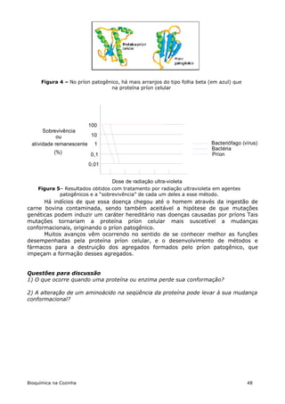 Figura 4 – No príon patogênico, há mais arranjos do tipo folha beta (em azul) que
                                 na proteína príon celular




                       100
      Sobrevivência
            ou          10
 atividade remanescente 1                                                 Bacteriófago (vírus)
                                                                          Bactéria
           (%)            0,1                                             Príon
                         0,01


                                  Dose de radiação ultra-violeta
    Figura 5– Resultados obtidos com tratamento por radiação ultravioleta em agentes
            patogênicos e a “sobrevivência” de cada um deles a esse método.
      Há indícios de que essa doença chegou até o homem através da ingestão de
carne bovina contaminada, sendo também aceitável a hipótese de que mutações
genéticas podem induzir um caráter hereditário nas doenças causadas por príons Tais
mutações tornariam a proteína príon celular mais suscetível a mudanças
conformacionais, originando o príon patogênico.
      Muitos avanços vêm ocorrendo no sentido de se conhecer melhor as funções
desempenhadas pela proteína príon celular, e o desenvolvimento de métodos e
fármacos para a destruição dos agregados formados pelo príon patogênico, que
impeçam a formação desses agregados.


Questões para discussão
1) O que ocorre quando uma proteína ou enzima perde sua conformação?

2) A alteração de um aminoácido na seqüência da proteína pode levar à sua mudança
conformacional?




Bioquímica na Cozinha                                                                     48
 