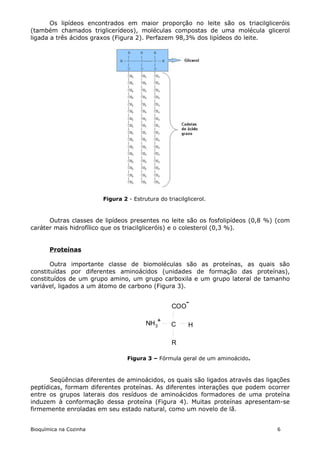 Os lipídeos encontrados em maior proporção no leite são os triacilgliceróis
(também chamados triglicerídeos), moléculas compostas de uma molécula glicerol
ligada a três ácidos graxos (Figura 2). Perfazem 98,3% dos lipídeos do leite.




                        Figura 2 - Estrutura do triacilglicerol.



      Outras classes de lipídeos presentes no leite são os fosfolipídeos (0,8 %) (com
caráter mais hidrofílico que os triacilgliceróis) e o colesterol (0,3 %).


       Proteínas

       Outra importante classe de biomoléculas são as proteínas, as quais são
constituídas por diferentes aminoácidos (unidades de formação das proteínas),
constituídos de um grupo amino, um grupo carboxila e um grupo lateral de tamanho
variável, ligados a um átomo de carbono (Figura 3).


                                                  COO
                                                        -

                                        NH 3+     C      H

                                                  R

                                 Figura 3 – Fórmula geral de um aminoácido.



       Seqüências diferentes de aminoácidos, os quais são ligados através das ligações
peptídicas, formam diferentes proteínas. As diferentes interações que podem ocorrer
entre os grupos laterais dos resíduos de aminoácidos formadores de uma proteína
induzem à conformação dessa proteína (Figura 4). Muitas proteínas apresentam-se
firmemente enroladas em seu estado natural, como um novelo de lã.


Bioquímica na Cozinha                                                            6
 