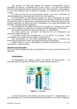 Nos animais, os TAGs são lipídeos que servem, principalmente, para a
estocagem de energia; os adipócitos são ricos em TAGs. É uma das mais eficientes
formas de estocagem de energia, principalmente com TAGs saturados; cada ligação C-
H é um sítio potencial para a reação de oxidação, um processo que libera muita
energia.
       Os TAGs provindo de animais terrestres contêm uma maior quantidade de
cadeias saturadas se comparados aos TAGs de animais aquáticos.
       Os TAGs podem ser chamados de gorduras ou óleos, dependendo do estado
físico na temperatura ambiente: se forem sólidos, são gorduras, e líquidos são óleos.
No organismo, tanto os óleos como as gorduras podem ser hidrolisados pelo auxílio de
enzimas específicas, as lipases (tal como a fosfolipase A ou a lipase pancreática), que
permitem a digestão destas substâncias.
       Os triacilgliceróis são lipídeos formados pela ligação de 3 moléculas de ácidos
graxos com o glicerol, um triálcool de 3 carbonos, através de ligações do tipo éster
       São também chamados de "Gorduras Neutras", ou triglicerídeos
       Os ácidos graxos que participam da estrutura de um triacilglicerol são
geralmente diferentes entre si.
       A principal função dos triacilgliceróis é a de reserva de energia, e são
armazenados nas células do tecido adiposo, principalmente.
       São armazenados em uma forma desidratada quase pura, e fornecem por
grama aproximadamente o dobro da energia fornecida por carboidratos.
       Existem ainda os mono e diacilgliceróis, derivados do glicerol com 1 ou 2 AG
esterificados, respectivamente.

Questão para discussão
Por que os TAGs Poliisaturados são mais abundantes nos peixes, principalmente os de
água fria?


       Fosfolipídeos

      Os fosfolipídeos (ou lipídeos polares) são ésteres do glicerofosfato - um
derivado fosfórico do glicerol. O fosfato é um diéster fosfórico (figura 3).




                                Figura 3 – Fosfolipídeo


      Os mais importantes são também derivados do glicerol - fosfoglicerídeos - o
qual está ligado por uma ponte tipo fosfodiéster geralmente a uma base nitrogenada,


Bioquímica na Cozinha                                                             70
 