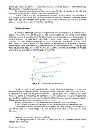 como por exemplo: Colina = Fosfatidilcolina, ou Lecitina; Serina = Fosfatidilserina;
Etanolamina = Fosfatidiletanolamina
      Os fosfoglicerídeos desempenham importante função na estrutura e função das
membranas biológicas, pois são claramente anfipáticos.
      Os fosfolipídios ocorrem em praticamente todos os seres vivos. São anfifílicos e
sua função principal é de que se ordenam em bicamadas, formando vesículas. Estas
estruturas são importantes para conter substâncias hidrossolúveis em um sistema
aquoso - como no caso das membranas celulares.


       Esfingolipídeos

       A principal diferença entre os esfingolipídios e os fosfolipídios é o álcool no qual
estes se baseiam: em vez do glicerol, eles são derivados de um amino álcool. Estes
lipídeos contêm 3 componentes fundamentais: um grupo polar, um ácido graxo, e
uma estrutura chamada base esfingóide - uma longa cadeia hidrocarbônica. É
chamado de base devido à presença do grupo amino que, em solução aquosa, pode
ser convertido para o respectivo íon amônio. A esfingosina foi o primeiro membro
desta classe a ser descoberto e, juntamente com a di-hidroesfingosina, são os grupos
mais abundantes desta classe nos mamíferos. A esfingomielina, encontrada em muitos
animais, é um exemplo de esfingolipídio (Figura 4).




                          Figura 4 - Esfingosina e esfingomielina


       Os vários tipos de esfingolipídios são classificados de acordo com o grupo que
está conectado à base esfingóide. Se o grupo hidroxila estiver conectado a um açúcar,
o composto é chamado de glicosfincolipídio. O grupo pode ser, também, um éster
fosfórico, como a fosfocolina, na esfingomielina. Gangliosídios são glicosfingolipídios
que contém o ácido N-acetilneurâmico (ácido siálico) ligado à cadeia oligossacarídica.
Estas espécies são muito comuns no tecido cerebral.
       As principais características dos esfingolipídios estão descritas abaixo:
        São lipídeos importantes também na estrutura das membranas biológicas
        Formada por uma molécula de ácido graxo de cadeia longa, a esfingosina -
um aminoálcool de cadeia longa - ou um de seus derivados, e uma cabeça polar
alcoólica.


      Existem 3 subclasses de esfingolipídeos:
       As Esfingomielinas = Possuem a fosfocolina ou a fosfoetanolamina como
cabeça polar alcoólica.

Bioquímica na Cozinha                                                                 71
 