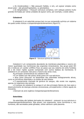 Os Cerebrosídeos = Não possuem fosfato, e sim, um açúcar simples como
álcool polar - são glicoesfingolipídios, ou glicolipídios.
        Os Gângliosídeos = Possuem estrutura complexa, com cabeças polares muito
grandes formadas por várias unidades de açúcar como, por exemplo, o ácido siálico.


       Colesterol

      O colesterol é um esteróide porque tem na sua composição química um sistema
de quatro anéis cíclicos o ciclopentanoperidrofenantreno (figura 5).




                          Figura 5 – Estrutura química do colesterol



       Colesterol é um componente abundante da membrana plasmática e ocorre em
menor quantidade nas membranas das organelas intracelulares. Seu grupo polar OH
dá a molécula um caráter anfifílico fraco ao passo que seu sistema de anéis fundidos
dá a ele maior rigidez quando comparado com outros lipídeos de membrana. O
colesterol é um composto vital para a maioria dos seres vivos.
       As principais características do colesterol são:
        É um lipídeo que não possui ácido graxo em sua estrutura .
        Atua como precursor na biossíntese dos esteróides biologicamente ativos,
como os hormônios esteróides e os ácidos de sais biliares
        É popularmente chamado de gordura do sangue, não existe nos vegetais,
apenas no organismo dos animais.
        O excesso de colesterol no sangue é um dos principais fatores de risco para o
desenvolvimento de doenças arteriais coronarianas, principalmente o infarto agudo do
miocárdio.
        Derivam do anel orgânico Ciclopentanoperidrofenantreno


       Esteróides

       Os esteróides são lipídeos derivados do colesterol – possuem na sua estrutura o
ciclopentanoperidrofenantreno. Eles atuam, nos organismos, como hormônios e, nos
humanos, são secretados pelas gônadas, córtex adrenal e pela placenta.




Bioquímica na Cozinha                                                            72
 
