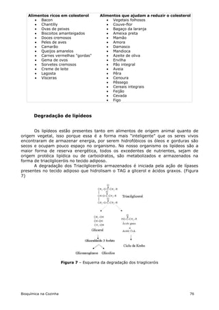 Alimentos ricos em colesterol           Alimentos que ajudam a reduzir o colesterol
        Bacon                                  Vegetais folhosos
        Chantilly                              Couve-flor
        Ovas de peixes                         Bagaço da laranja
        Biscoitos amanteigados                 Ameixa preta
        Doces cremosos                         Mamão
        Peles de aves                          Amora
        Camarão                                Damasco
        Queijos amarelos                       Mandioca
        Carnes vermelhas "gordas"              Azeite de oliva
        Gema de ovos                           Ervilha
        Sorvetes cremosos                      Pão integral
        Creme de leite                         Aveia
        Lagosta                                Pêra
        Vísceras                               Cenoura
                                                Pêssego
                                                Cereais integrais
                                                Feijão
                                                Cevada
                                                Figo



       Degradação de lipídeos


      Os lipídeos estão presentes tanto em alimentos de origem animal quanto de
origem vegetal, isso porque essa é a forma mais “inteligente” que os seres vivos
encontraram de armazenar energia, por serem hidrofóbicos os óleos e gorduras são
secos e ocupam pouco espaço no organismo. No nosso organismo os lipídeos são a
maior forma de reserva energética, todos os excedentes de nutrientes, sejam de
origem protéica lipídica ou de carboidratos, são metabolizados e armazenados na
forma de triacilgliceróis no tecido adiposo.
      A degradação dos Triacilgliceróis armazenados é iniciada pela ação de lípases
presentes no tecido adiposo que hidrolisam o TAG a glicerol e ácidos graxos. (Figura
7)




                        Figura 7 – Esquema da degradação dos triagliceróis




Bioquímica na Cozinha                                                                 76
 