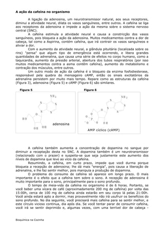 A ação da cafeína no organismo

         A ligação da adenosina, um neurotransmissor natural, aos seus receptores,
diminui a atividade neural, dilata os vasos sanguíneos, entre outros. A cafeína se liga
aos receptores da adenosina e impede a ação da mesma sobre o sistema nervoso
central (SNC).
         A cafeína estimula a atividade neural e causa a constricção dos vasos
sanguíneos, pois bloqueia a ação da adenosina. Muitos medicamentos contra a dor de
cabeça, tal como a Aspirina, contém cafeína, que irá contrair os vasos sanguíneos e
aliviar a dor.
         Com o aumento da atividade neural, a glândula pituitária (localizada sobre os
rins) "pensa" que algum tipo de emergência está ocorrendo, e libera grandes
quantidades de adrenalina, que causa uma série de efeitos no corpo humano, como a
taquicardia, aumento da pressão arterial, abertura dos tubos respiratórios (por isso
muitos medicamentos contra a asma contêm cafeína), aumento do metabolismo e
contração dos músculos, entre outros.
         Um outro modo de ação da cafeína é o bloqueio da enzima fosfodiesterase,
responsável pela quebra do mensageiro cAMP, então os sinais excitatórios da
adrenalina persistem por muito mais tempo. Repare como as estruturas da cafeína
(Figura 3), adenosina (Figura 5) e cAMP (Figura 6) são similares.

   Figura 5                                 Figura 6

                            NH2                                                NH   2
                                                                       N
                   N             N                                              N
                                                                   N
                                                              O
                   N        N                                              N
              O                                       O
                                                 O
     HO                                               P
                                             -            O
                                adenosina        O                OH
              OH       OH
                                                     AMP cíclico (cAMP)




         A cafeína também aumenta a concentração de dopamina no sangue por
diminuir a recaptação desta no SNC. A dopamina também é um neurotransmissor
(relacionado com o prazer) e suspeita-se que seja justamente este aumento dos
níveis de dopamina que leve ao vício da cafeína.
         Resumindo, a cafeína, em curto prazo, impede que você durma porque
bloqueia a recepção de adenosina; lhe dá mais "energia", pois causa a liberação de
adrenalina, e lhe faz sentir melhor, pois manipula a produção de dopamina.
         O problema do consumo de cafeína só aparece em longo prazo. O mais
importante é o efeito que a cafeína tem sobre o sono. A recepção de adenosina é
muito importante para o sono, principalmente para o sono profundo.
         O tempo de meia-vida da cafeína no organismo é de 6 horas. Portanto, se
você beber uma xícara de café (aproximadamente 200 mg de cafeína) por volta das
15:00h, cerca de 100 mg de cafeína ainda estarão em seu corpo lá pelas 21:00h.
Você ainda estará apto a dormir, mas provavelmente não irá usufruir os benefícios do
sono profundo. No dia seguinte, você precisará mais cafeína para se sentir melhor, e
este círculo vicioso continua, dia após dia. Se você tentar parar de consumir cafeína,
você irá se sentir deprimido e, algumas vezes, com uma terrível dor de cabeça -


Bioquímica na Cozinha
 