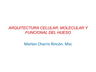 ARQUITECTURA CELULAR, MOLECULAR Y
FUNCIONAL DEL HUESO
Marlon Charris Rincón. Msc
 