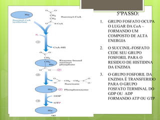 BIOQUIMICA_PARTE_I_II_III_IV (1).ppt ácidos | PPT