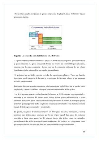 15
Representan aquellas moléculas de grasas compuestas de glicerol, ácido fosfórico y ácidos
grasos ejm. lecitina
Papel De Las Grasa En La Salud Humana Y La Nutrición
La grasa corporal (también denominada lípidos) se divide en dos categorías: grasa almacenada
y grasa estructural. La grasa almacenada brinda una reserva de combustible para el cuerpo,
mientras que la grasa estructural forma parte de la estructura intrínseca de las células
(membrana celular, mitocondrias y orgánulos intracelulares).
El colesterol es un lípido presente en todas las membranas celulares. Tiene una función
importante en el transporte de la grasa y es precursor de las sales biliares y las hormonas
sexuales y suprarrenales.
Las grasas alimentarias están compuestas principalmente de triglicéridos, que se pueden partir
en glicerol y cadenas de carbono, hidrogeno y oxigeno denominados ácidos grasos.
Los ácidos grasos presentes en la alimentación humana se dividen en dos grupos principales:
saturados y no saturados. El último grupo incluye ácidos grasos poliinsaturados y mono
saturados. Los ácidos grasos saturados tienen el mayor número de átomos de hidrogeno que su
estructura química permite. Todas las grasas y aceites que consumen los seres humanos son una
mezcla de ácidos grasos saturados y no saturados.
En general, las grasas de animales terrestres (es decir grasa de carne, mantequilla, y suero)
contienen más ácidos grasos saturados que los de origen vegetal. Las grasas de productos
vegetales y hasta cierto punto las del pescado tienen más ácidos grasos no saturados,
particularmente los ácidos grasos poli insaturados (agpis). Sin embargo hay excepciones, como
por ejemplo el aceite de coco que tiene una gran cantidad ácidos grasos saturados.
 