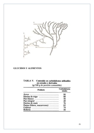 25
GLUCIDOS Y ALIMENTOS
 