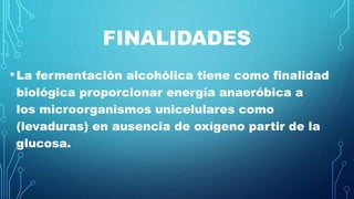 FINALIDADES
•La fermentación alcohólica tiene como finalidad
biológica proporcionar energía anaeróbica a
los microorganismos unicelulares como
(levaduras) en ausencia de oxígeno partir de la
glucosa.
 