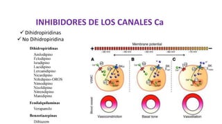 INHIBIDORES DE LOS CANALES Ca
 Dihidropiridinas
 No Dihidropiridina
 