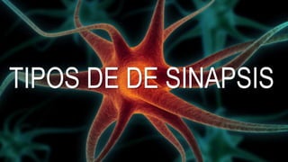 TIPOS DE DE SINAPSIS
 
