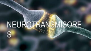 NEUROTRANSMISORE
S
 