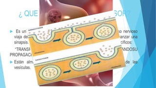 ¿ QUE ES UN NEUROTRANSMISOR?
 Es un mensajero químico que es liberado cuando el impulso nervioso
viaja desde el cuerpo de la neurona hacia el axón hasta alcanzar una
sinapsis. Estos mensajeros químicos se unen a receptores específicos:
“TRANSFIRIENDO LAINFORMACIÓN Y CONTINUANDOSU
PROPAGACIÓN”
 Están almacenados en las terminaciones nerviosas dentro de las
vesículas.
 