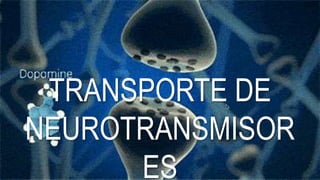 TRANSPORTE DE
NEUROTRANSMISOR
ES
 