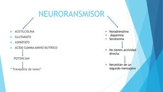 NEURORANSMISOR
 ACETILCOLINA
 GLUTAMATO
 ASPARTATO
 ACIDO GAMMA AMINO BUTÍRICO
POTENCIAN
“ Transporte de iones”
• Noradrenalina
• dopamina
• Serotonina
• No tienen actividad
directa
• Necesitan de un
segundo mensajero
 