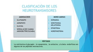 CLASIFICACIÓN DE LOS
NEUROTRANSMISORES
AMINOACIDOS
 GLUTAMATO
 ASPARTATO
 GLICINA
 SERINA ACIDO GAMMA
AMINOBUTÍRICO(GABA)
 PÉPTIDOS
 La calcitonina el glucagón , la vasopresina , la oxitocina y la beta- endorfinas son
algunos de los péptidos neuroactivos.
MONO-AMINAS
 DOPAMINA
 SEROTONINA
MELATONINA
 EPINEFRINA
 NOREPINEFRINA
 