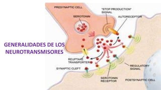GENERALIDADES DE LOS
NEUROTRANSMISORES
 