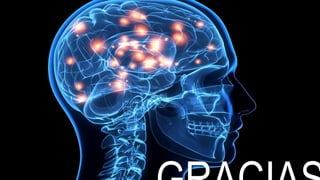 Bioquimica seminario interno